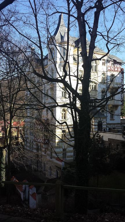 Villa Sofia Apartments カルロヴィ・ヴァリ エクステリア 写真